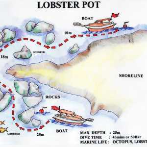 Image lobster
