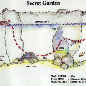 Image secretegarden